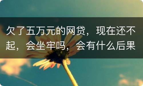 欠了五万元的网贷，现在还不起，会坐牢吗，会有什么后果呢