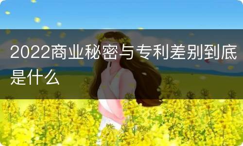 2022商业秘密与专利差别到底是什么