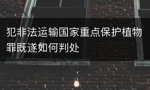 犯非法运输国家重点保护植物罪既遂如何判处