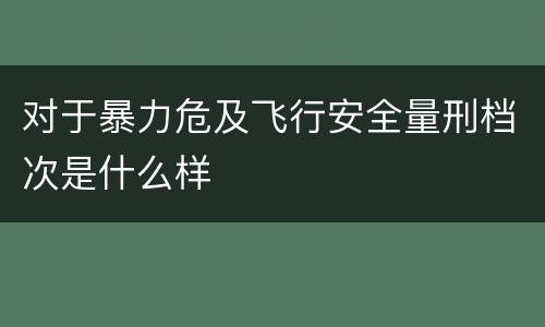 对于暴力危及飞行安全量刑档次是什么样