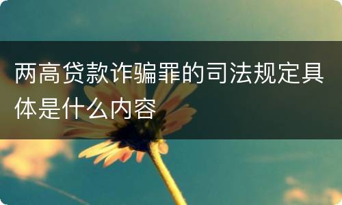 两高贷款诈骗罪的司法规定具体是什么内容