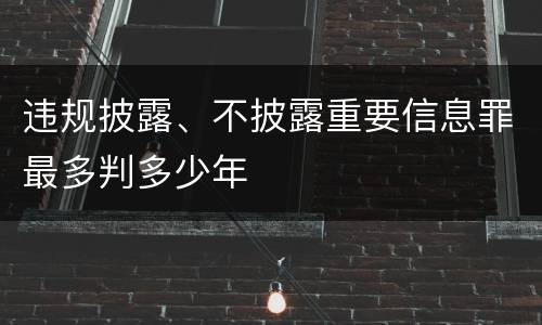违规披露、不披露重要信息罪最多判多少年