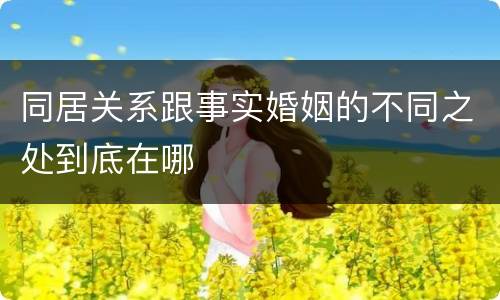 同居关系跟事实婚姻的不同之处到底在哪