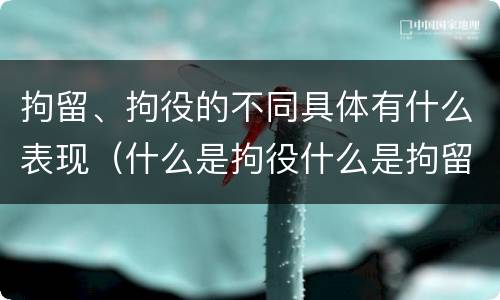 拘留、拘役的不同具体有什么表现（什么是拘役什么是拘留）