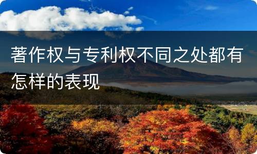 著作权与专利权不同之处都有怎样的表现