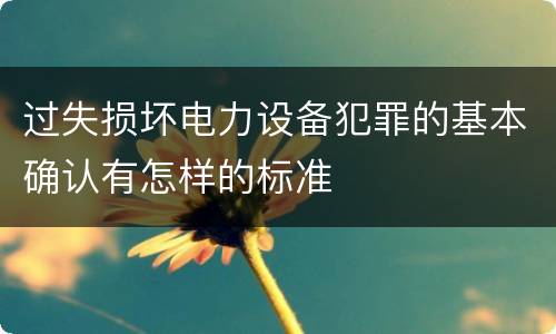 过失损坏电力设备犯罪的基本确认有怎样的标准