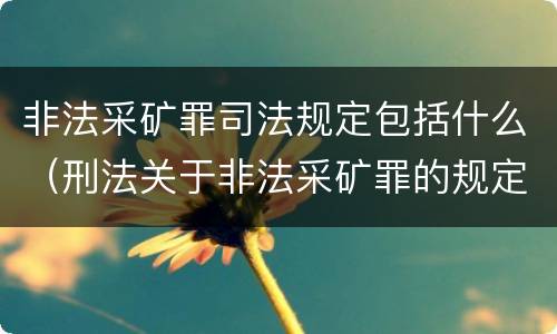 非法采矿罪司法规定包括什么（刑法关于非法采矿罪的规定）