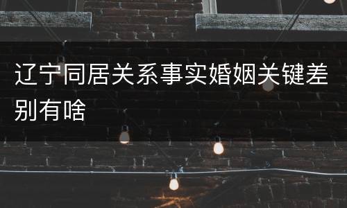 辽宁同居关系事实婚姻关键差别有啥