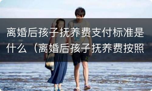 离婚后孩子抚养费支付标准是什么（离婚后孩子抚养费按照什么标准）