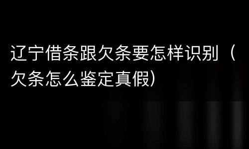 辽宁借条跟欠条要怎样识别（欠条怎么鉴定真假）