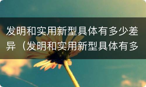 发明和实用新型具体有多少差异（发明和实用新型具体有多少差异呢）