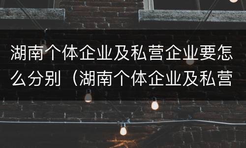 湖南个体企业及私营企业要怎么分别（湖南个体企业及私营企业要怎么分别缴纳社保）