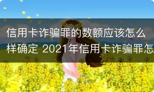 信用卡诈骗罪的数额应该怎么样确定 2021年信用卡诈骗罪怎么认定