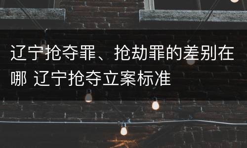 辽宁抢夺罪、抢劫罪的差别在哪 辽宁抢夺立案标准