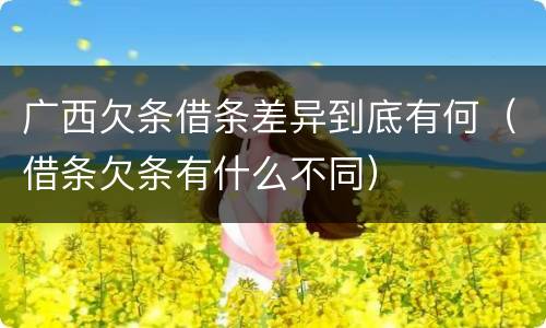 广西欠条借条差异到底有何（借条欠条有什么不同）