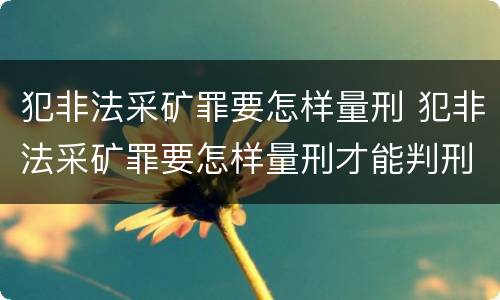 犯非法采矿罪要怎样量刑 犯非法采矿罪要怎样量刑才能判刑