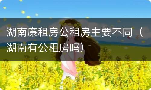 湖南廉租房公租房主要不同（湖南有公租房吗）