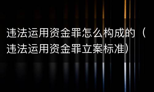 违法运用资金罪怎么构成的（违法运用资金罪立案标准）