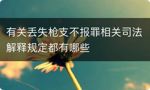 有关丢失枪支不报罪相关司法解释规定都有哪些