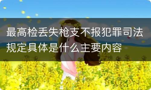 最高检丢失枪支不报犯罪司法规定具体是什么主要内容