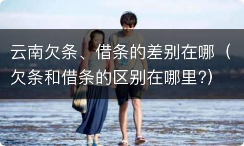云南欠条、借条的差别在哪（欠条和借条的区别在哪里?）
