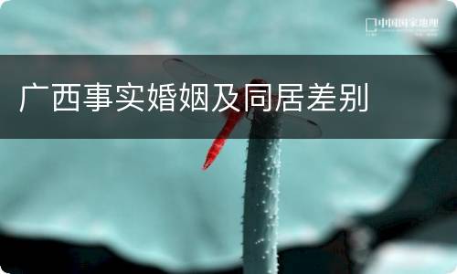 广西事实婚姻及同居差别