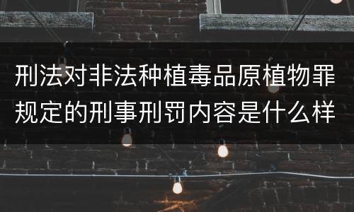 刑法对非法种植毒品原植物罪规定的刑事刑罚内容是什么样的