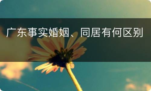 广东事实婚姻、同居有何区别
