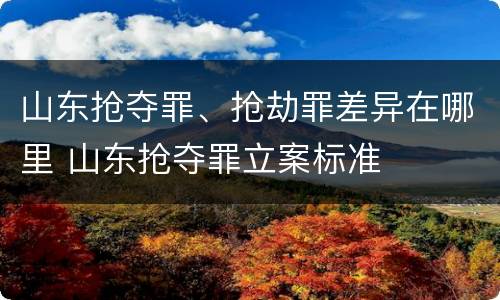 山东抢夺罪、抢劫罪差异在哪里 山东抢夺罪立案标准