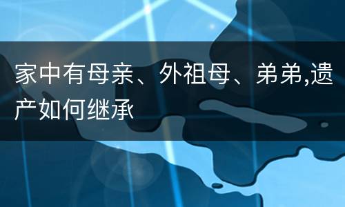 家中有母亲、外祖母、弟弟,遗产如何继承