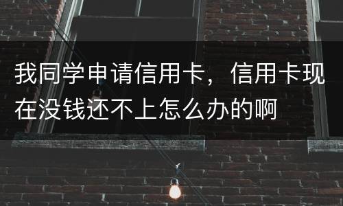 我同学申请信用卡，信用卡现在没钱还不上怎么办的啊