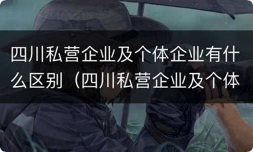 四川私营企业及个体企业有什么区别（四川私营企业及个体企业有什么区别呢）