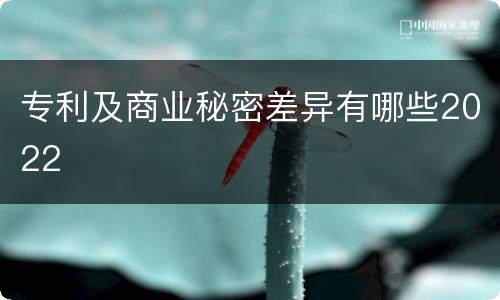 专利及商业秘密差异有哪些2022