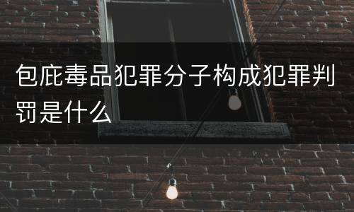包庇毒品犯罪分子构成犯罪判罚是什么