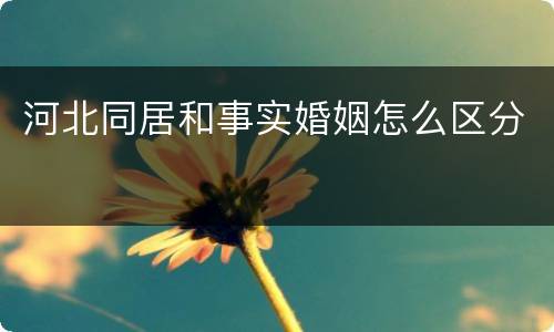河北同居和事实婚姻怎么区分