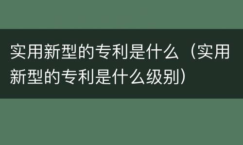 实用新型的专利是什么（实用新型的专利是什么级别）