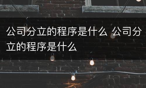 公司分立的程序是什么 公司分立的程序是什么