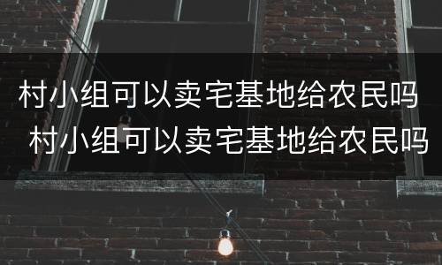 村小组可以卖宅基地给农民吗 村小组可以卖宅基地给农民吗合法吗