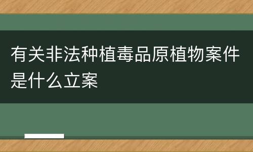 有关非法种植毒品原植物案件是什么立案