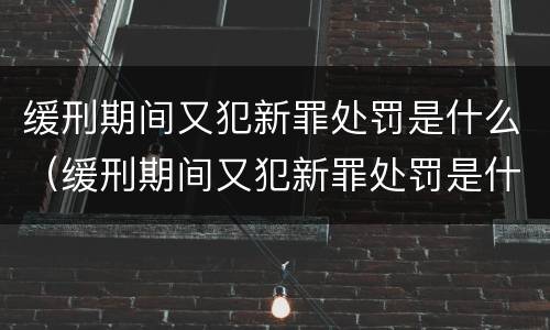 缓刑期间又犯新罪处罚是什么（缓刑期间又犯新罪处罚是什么情况）