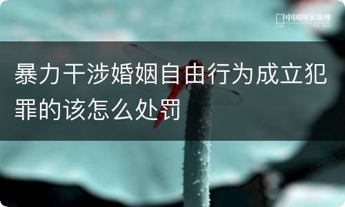 暴力干涉婚姻自由行为成立犯罪的该怎么处罚