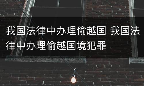 我国法律中办理偷越国 我国法律中办理偷越国境犯罪