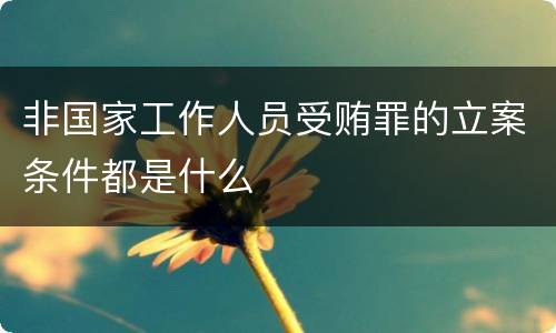 非国家工作人员受贿罪的立案条件都是什么