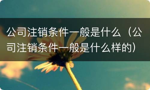 公司注销条件一般是什么（公司注销条件一般是什么样的）