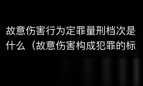 故意伤害行为定罪量刑档次是什么（故意伤害构成犯罪的标准）