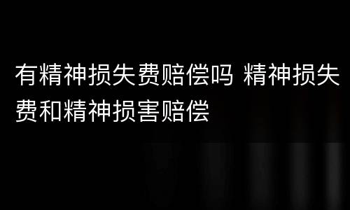 有精神损失费赔偿吗 精神损失费和精神损害赔偿
