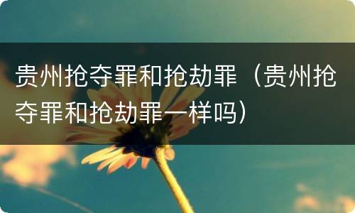 贵州抢夺罪和抢劫罪（贵州抢夺罪和抢劫罪一样吗）