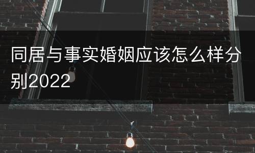 同居与事实婚姻应该怎么样分别2022