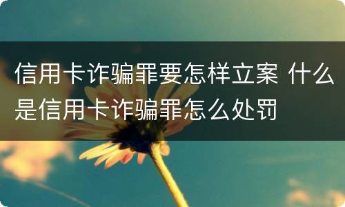 信用卡诈骗罪要怎样立案 什么是信用卡诈骗罪怎么处罚