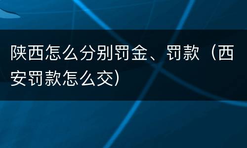 陕西怎么分别罚金、罚款（西安罚款怎么交）